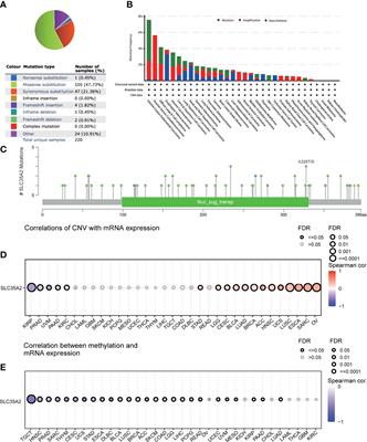 Frontiers | Comprehensive Analysis Of 33 Human Cancers Reveals Clinical ...